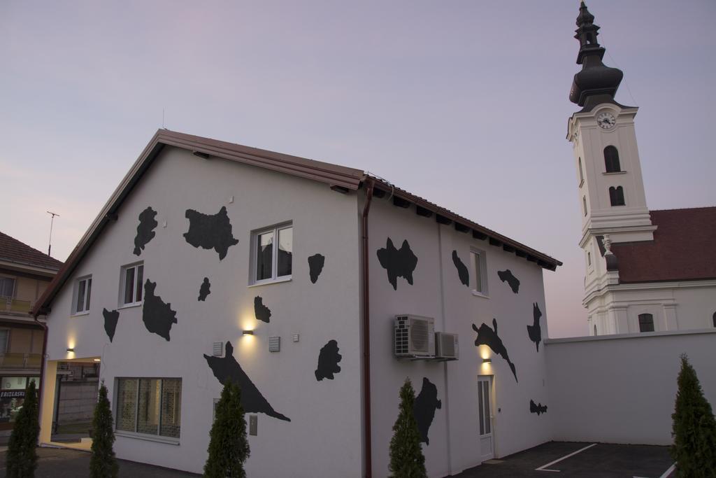 Hostel 101 Dalmatinac Vukovar Zewnętrze zdjęcie